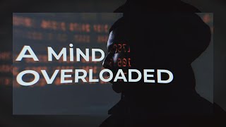 Celebrity Is Information Overload Damaging Your Brain's Ability To Learn? Profile
