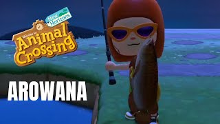 Animal Crossing: New Horizons: How To Catch AROWANA (Bells, Time, Location)