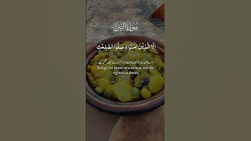سورة التين ‎تلاوت قرآن الكريم #قرآن_كريم #تلاوة #سورة #سبحان_الله #صباح_الخير #راحة_نفسية #رمضان