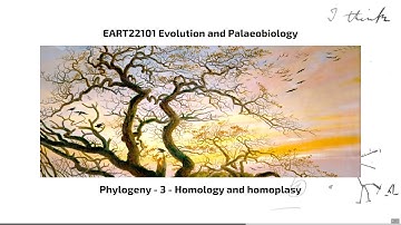 Phylogeny, Video 3 - EART22101 - Palaeobiology and Evolution