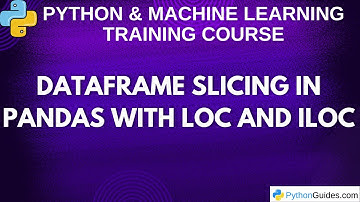 DataFrame Slicing in Pandas with loc and iloc
