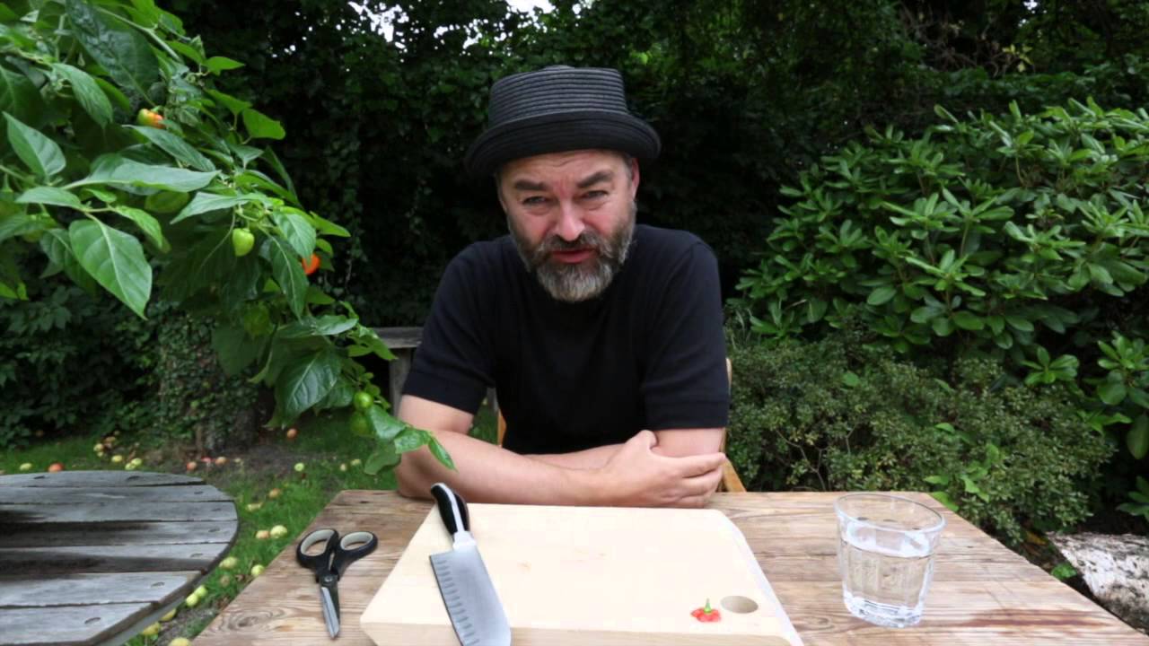 Chili Klaus Chilismagning Habanero YouTube