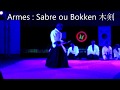 Ref:eFZ4H0QFkv8 D�monstration lailly en val - nuit des arts martiaux