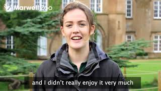 4th Day of Marwell!