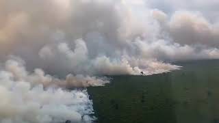 STORY WA KEBAKARAN HUTAN 2019