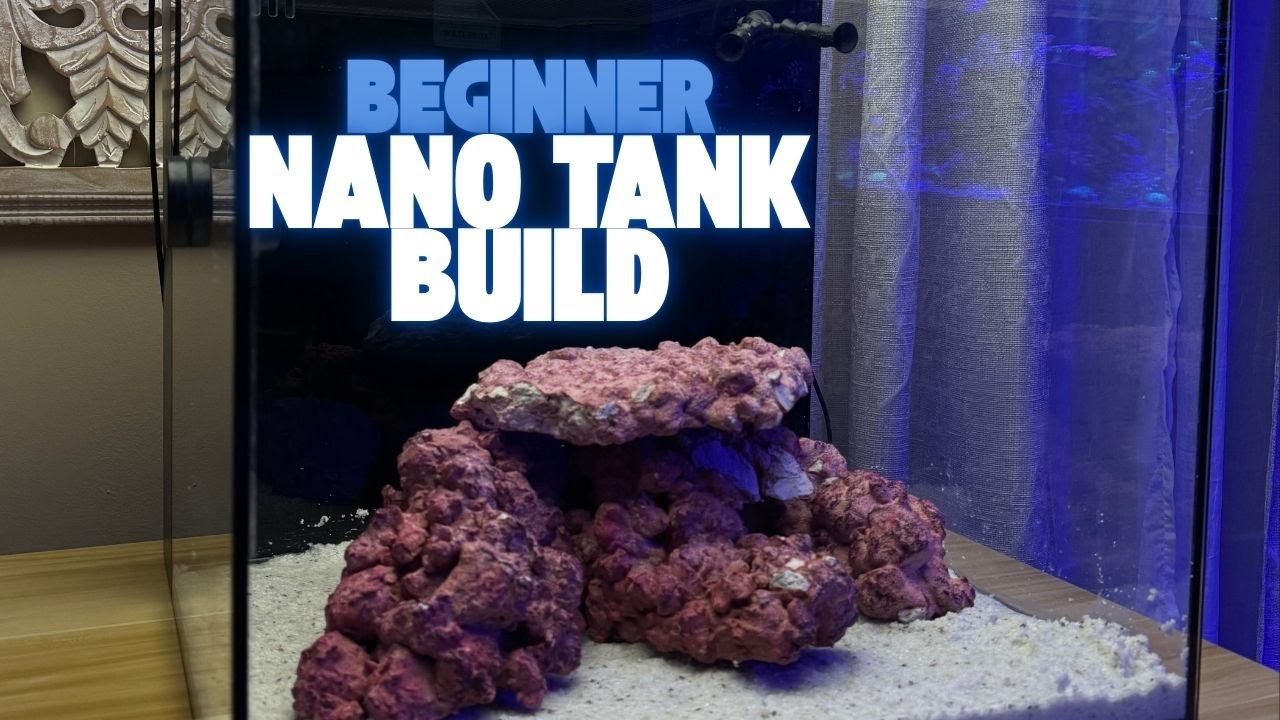 Simple Reef Tank Easy Reef Tank Setup for Beginners | Waterbox 20 Build - YouTube