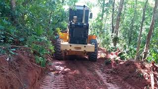 Abrindo estrada na mata pa carregadeira 12C