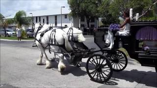 HORSE & CARRIAGE RIDES & EVENTS, INC.: