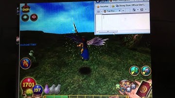 Wizard 101 Walk through walls/off cliffs glitch