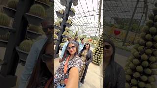 Find out major difference in one transition 😅| Anju Vinod |#shorts #transition