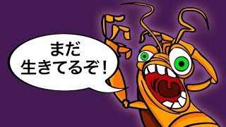 ＊閲覧注意＊ゴキブリを殺すのが難しい理由とは？