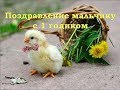 С первым годиком мальчика