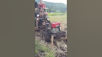 #shorts xe công nông 2 câu chở lúa cực kỳ khỏe