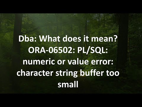 Dba: What does it mean? ORA-06502: PL/SQL: numeric or value error: character string buffer too small