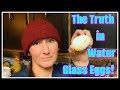 water glass eggs  the truth about them 