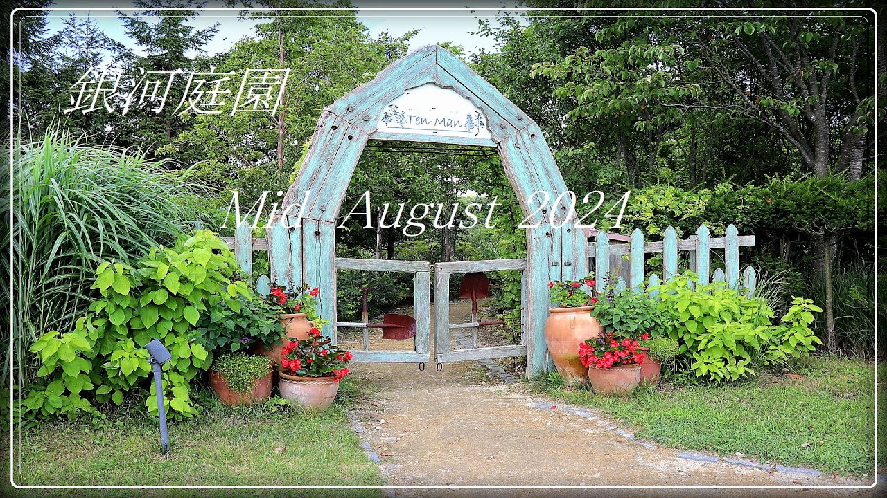 銀河庭園  Galaxy  