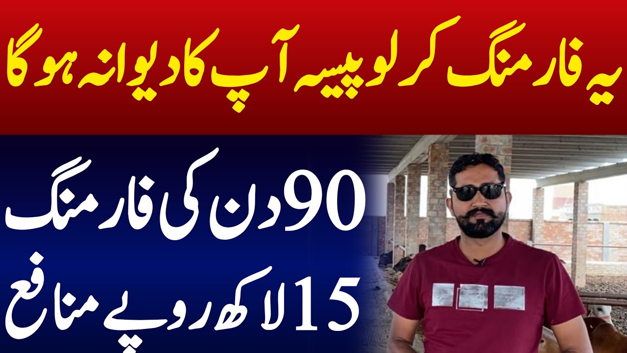 Bachra Farming Business Idea in Pakistan