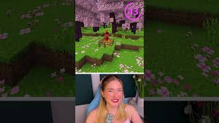 5 Hinweise Mob Erraten