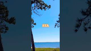 #sea #season #seafood #denmark #denmarkvlog #vlog #vlogger #vlogs #данія #море #життя #підпишись