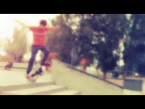 Dogboarding