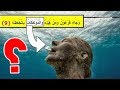 روائع القران من هم المؤتفكات ولماذا وصفهم الله بالخاطئة وكيف كانت نهايتهم وهلاكهم سبحان الله