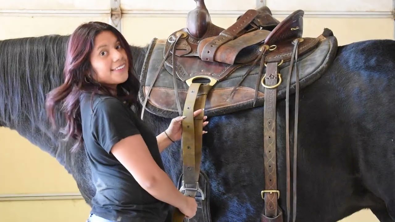 Step-By-Step Instructions for a Front Cinch on Saddle