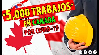 5,000 puestos de trabajo en CANADA!! Ahora o nunca / Oportunidades de empleo en Canada