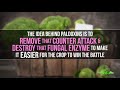 How Safe Are Pesticides, Really?