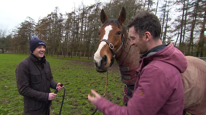 Fantastic stores about Faugheen - Ruby and Patrick...