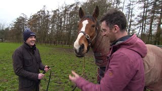 Fantastic Stores About Faugheen - Ruby And Patrick Mullins Go And See An Old Friend In Retirement
