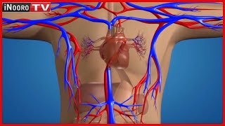 Taũkwo nĩ mũrimũ ya ngoro screenshot 5