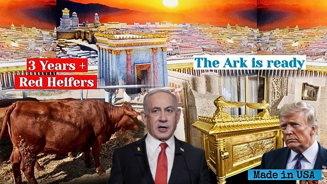 Third Temple Update : Third Temple Construction SURGES Ahead with Red Heifer Sacrifices