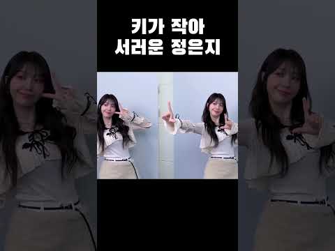 [에이핑크] 키가 작아 서러운 정은지