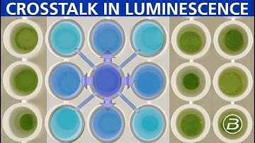 Crosstalk in luminescence measurements: what is it, when is it a problem, and how to prevent it