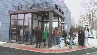 How will Ohio's medical marijuana industry be impacted by Issue 2