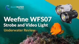 All-in-One Underwater Strobe and Video Light!