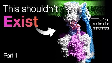 Life uses entropy to crack impossible odds. Here’s how. | EoB Ch 2