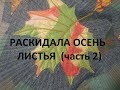 Пэчворк-пицца.Красивая,функциональная вещь. (2021г)