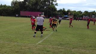 Hampton Hawkeyes (#5 Kendall Hunt)