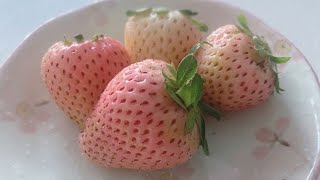 ben yarraga oturmak diyorum arkadaslar