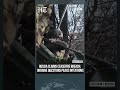 Russia-Ukraine Conflict Deepens Amid Fresh Ceasefire Violation Accusations | #shorts