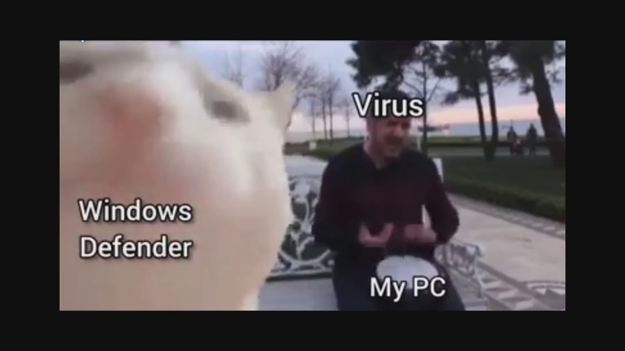 Cat Vibing - Windows defender vs Virus - YouTube