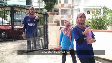 SPS 606 - MOTOR CONTROL AND LEARNING