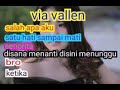 Via vallen full album satu hati sampai mati