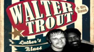 Video thumbnail of "Walter Trout - Move from the Hood"