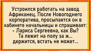 Как Африканец начальнице 3асаgил! Сборник свежих анекдотов! Юмор!