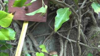 FREAKING AWESOME GEOCACHE