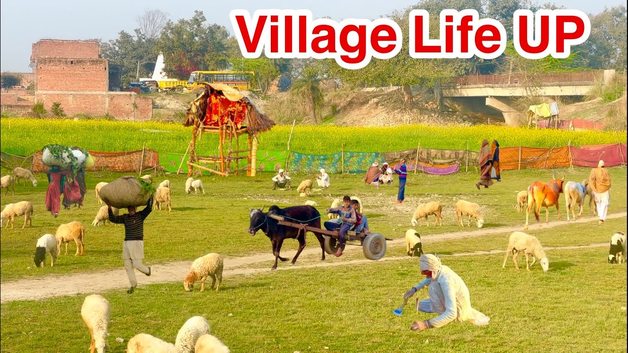 Some unknown villages of India/Very poor village of Uttar Pradesh/Real Life Extremely Poor Village