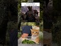 #catmeme