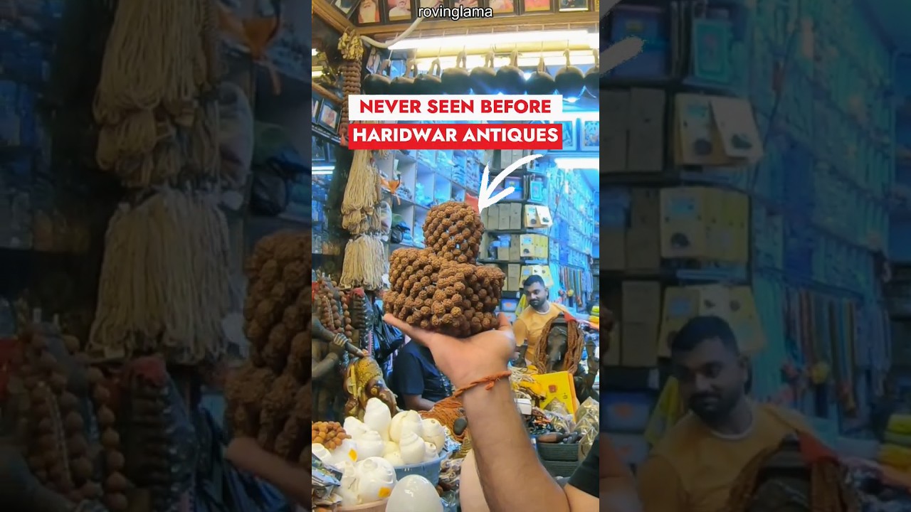 I found the most antique shop in Haridwar ❤️ 